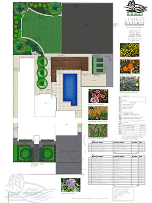 Garden Design Plan By Tony Stanton